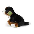 Rappa Plüsch Berner Sennenhund sitzend 25 cm ECO-FRIENDLY